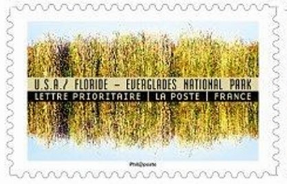 Everglades (Florida / USA)