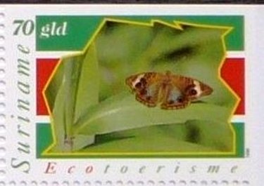 Ecotourism