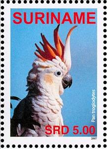 Stamp, Yellow-crested Cockatoo    Cacatua sulphurea, Suriname,  , Birds, Parrots