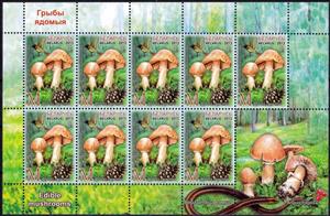 Mini Sheet, Rozites caperatus, Belarus,  