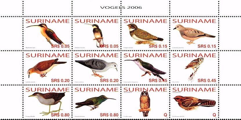 Birds