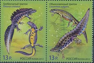Se-tenant, Newts, Russia,  , Amphibians, Animals (Fauna), Joint Issues
