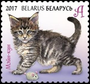 Stamp, Maine Coon, Belarus,  , Animals (Fauna), Cats, Mammals