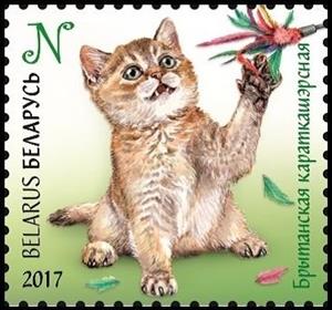Stamp, British Shorthair, Belarus,  , Animals (Fauna), Cats, Mammals