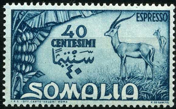 Grant's Gazelle (Gazella granti)