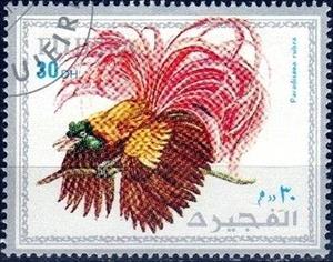 Stamp, Paradisaea rubra, Fujairah (Fujeira),  , Birds