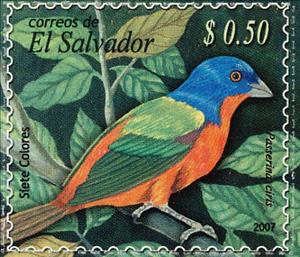 Stamp, Painted Bunting (Passerina ciris), El Salvador,  , Animals (Fauna), Birds