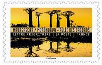 Avenue of Baobabs (Morindava / Madagascar)