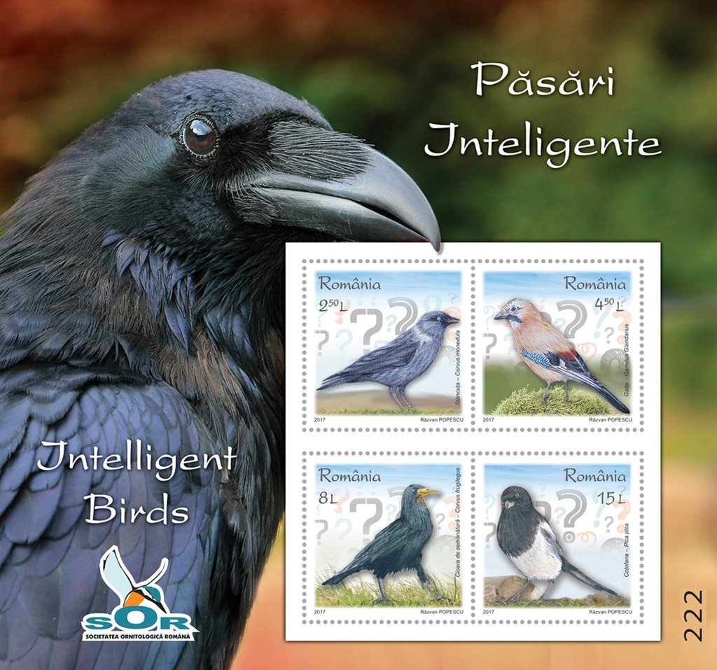 Intelligent birds