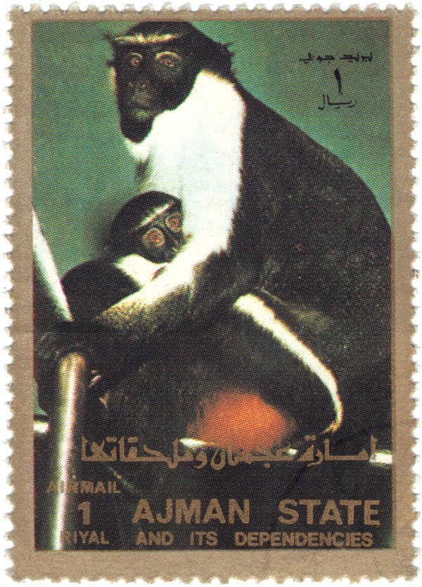 Monkeys
