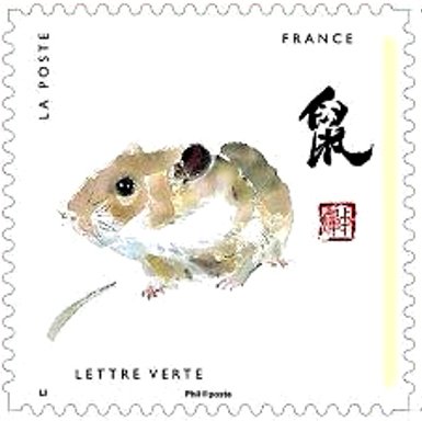 Rat