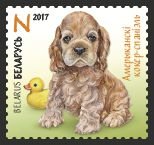 Stamp, Puppies: Chihuahua, Belarus,  , Animals (Fauna), Dogs, Mammals