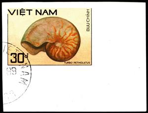 Stamp, Tapestry Turban (Turbo petholatus), Vietnam,  , Animals (Fauna), Molluscs, Sea Life, Shells