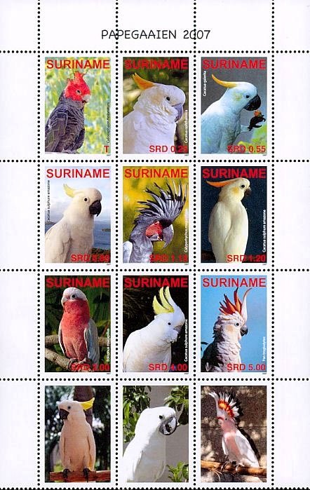 Cockatoos