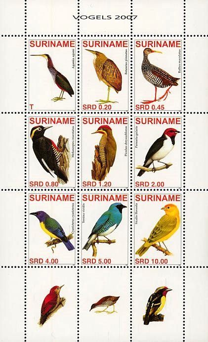 Birds