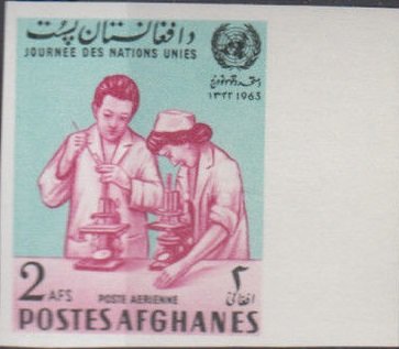 Doctor and nurse