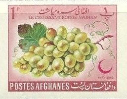 Grapes (Vitis vinifera)