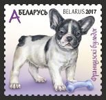 Puppies: French Bulldog