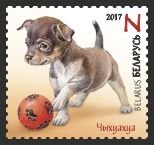 Stamp, Puppies: Аmerican Cocker Spaniel, Belarus,  , Animals (Fauna), Dogs, Mammals