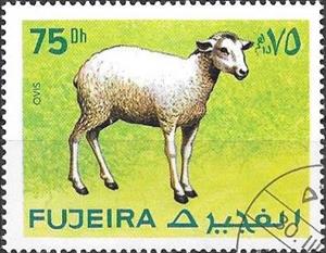 Stamp, Sheep (Ovis sp.), Fujairah (Fujeira),  , Animals (Fauna), Mammals, Sheep