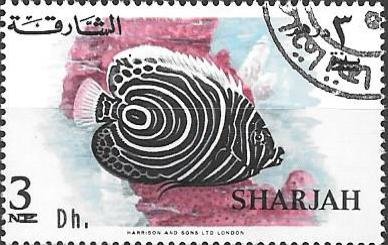 Stamp, Emperor Angelfish (Pomacanthus imperator juv.), Sharjah,  , Animals (Fauna), Fishes, Sea Life, Shells