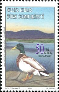 Stamp, Mallard (Anas platyrhynchos platyrhynchos), Northern Cyprus,  , Animals (Fauna), Birds, Ducks