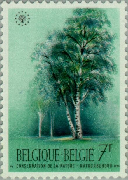 European Nature Conservation Year