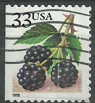 Fruit Berries: Blackberries