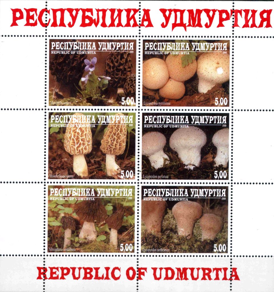 Mushrooms