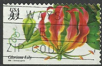 Tropical Flowers: Gloriosa Lily