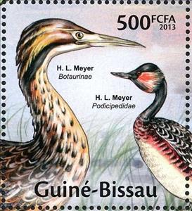 Stamp, Eurasian Bittern (Botaurus stellaris), Black-necked Grebe (P, Guinea-Bissau,  , Animals (Fauna), Birds, Herons