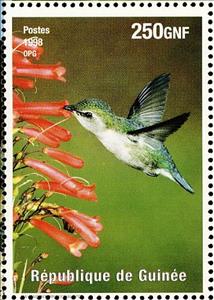 Stamp, Bee Hummingbird    Mellisuga helenae, Cinderellas,  , Birds