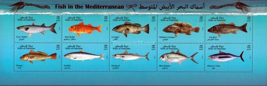 Fishes of the Mediterranean Sea