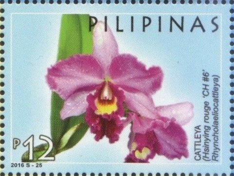 Cattleya