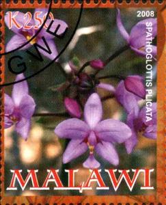 Stamp, Spathoglottis Plicata, Cinderellas,  , Orchids