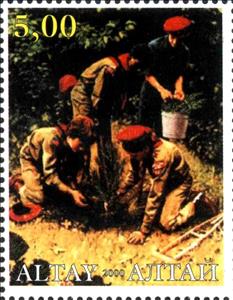 Stamp, Scouting, Cinderellas,  , Scouting