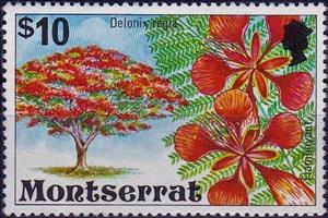 Stamp, Delonix regia, Montserrat,  , Plants (Flora), Trees