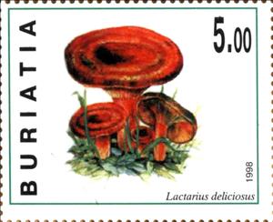 Stamp, Lactarius delicciosus, Cinderellas,  , Mushrooms