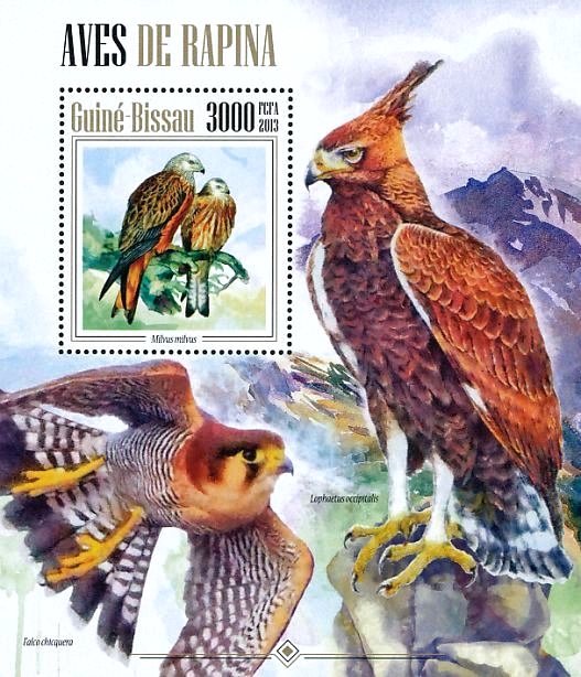 Red Kite (Milvus milvus)