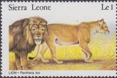 Stamp, Lions., Sierra Leone,  , Animals (Fauna), Mammals