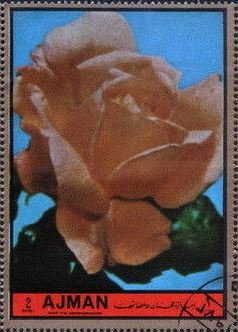 Stamp, Golden dawn, Ajman,  , Flowers, Roses