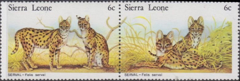 Se-tenant, Servals, Sierra Leone,  , Animals (Fauna), Cats of Prey, Mammals