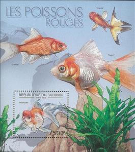 Souvenir Sheet, Pearlscale, Burundi,  , Animals (Fauna), Fishes
