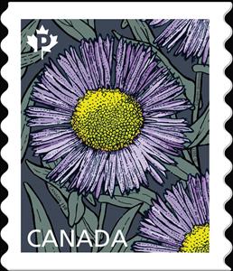 Stamp, Erigeron speciosus, Canada,  , Flowers, Plants (Flora)