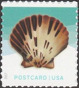 Stamp, Pacific calico scallop seashell - pane, United States of America,  , Animals (Fauna), Molluscs, Sea Life, Shells