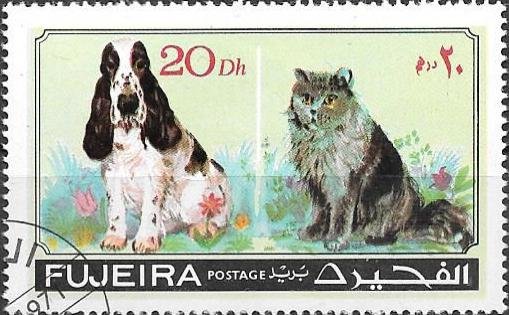 Cat and dog