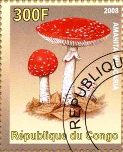 Stamp, Amanita Muscaria, Cinderellas,  , Mushrooms