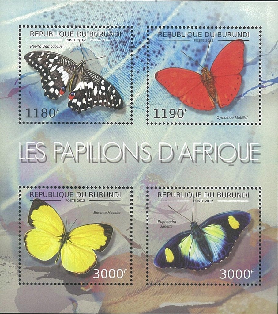Butterflies Africa