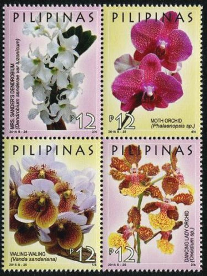 Orchids