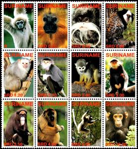 Se-tenant, Apes and Monkeys, Suriname,  , Animals (Fauna), Apes, Mammals, Monkeys